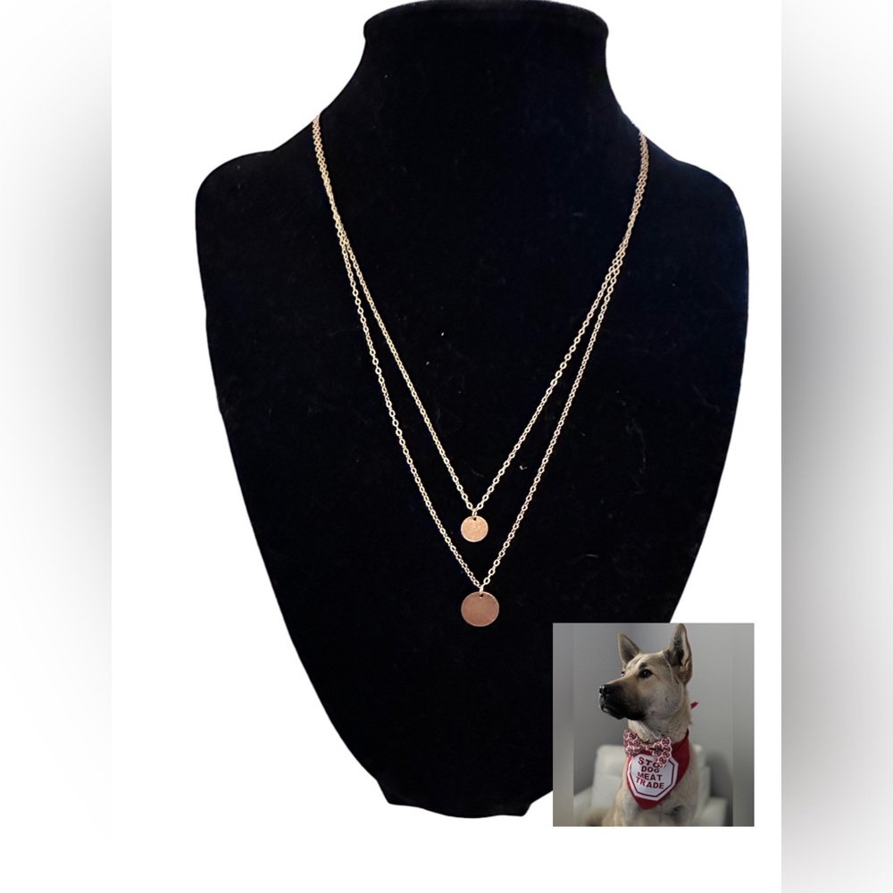 NECKLACE 925 STERLING SILVER 18K GOLD PLATED PENDENT DISCS 16”